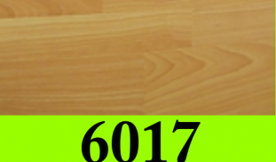6017.jpg